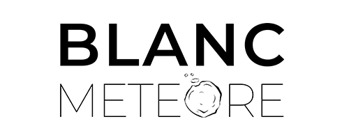 Logo Blanc meteore